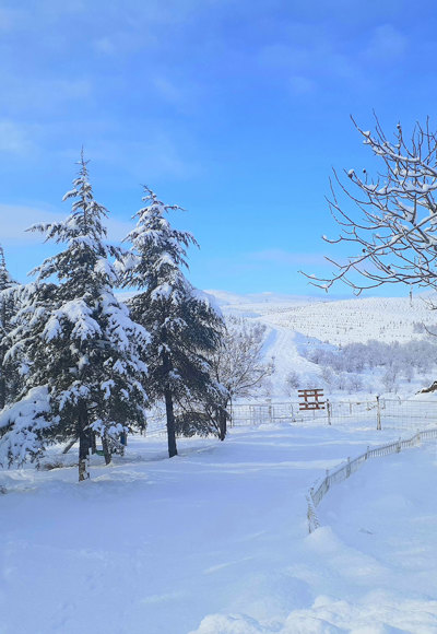 Royal Marmin Arachova