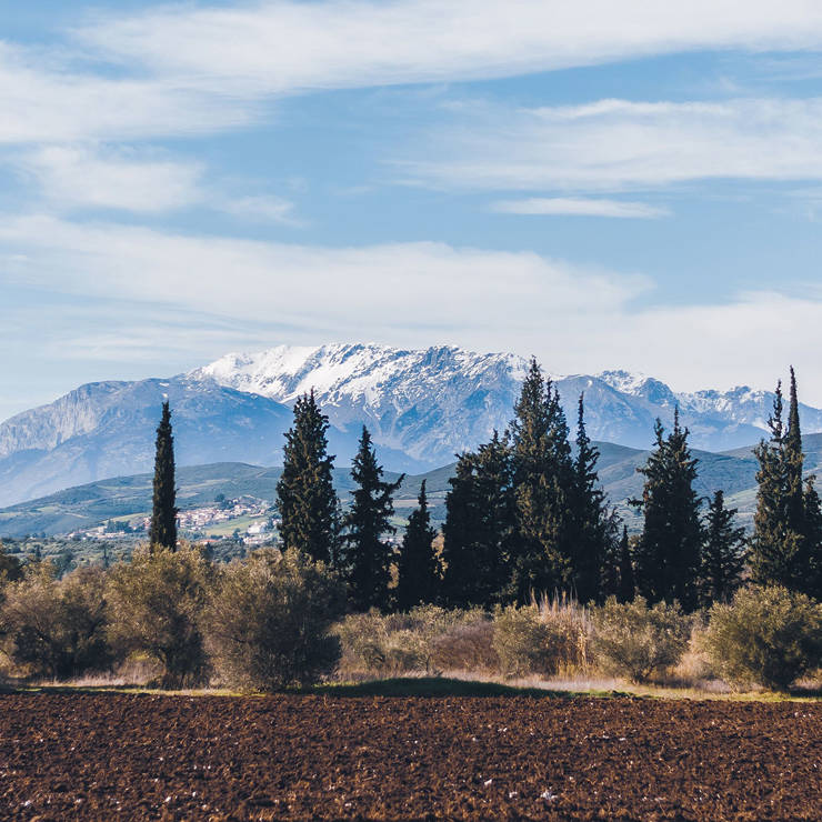 Snow-capped Mount Parnassus surrounded by pine trees and countryside near Arachova